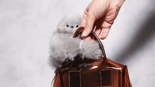 ลาบูบู้หลบไป Mirumi ชาร์มห้อยกระเป๋าใหม่เป็นหุ่นยนต์ AI ขยับตัวได้ กำลังจะมาแทนที่ในปี 2026