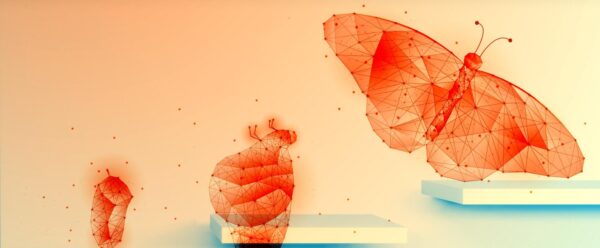 พลิกเกมธุรกิจด้วย AI ขนาดเล็ก