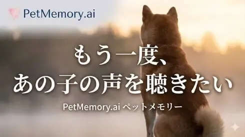 PetMemory AI บริการแชทกับสัตว์เลี้ยงที่จากไป