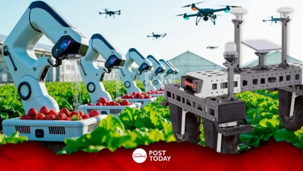 Amiga หุ่นยนต์ AI ที่ช่วยสนับสนุนงานภาคการเกษตรอัจฉริยะ