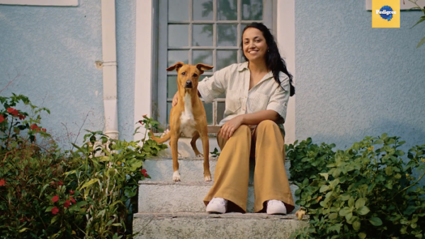 Pedigree ใช้ Melhor Amigo AI จับคู่หาบ้านน้องหมา ย้ำปัญญาประดิษฐ์ไม่มีทางแทนเพื่อนแท้ได้